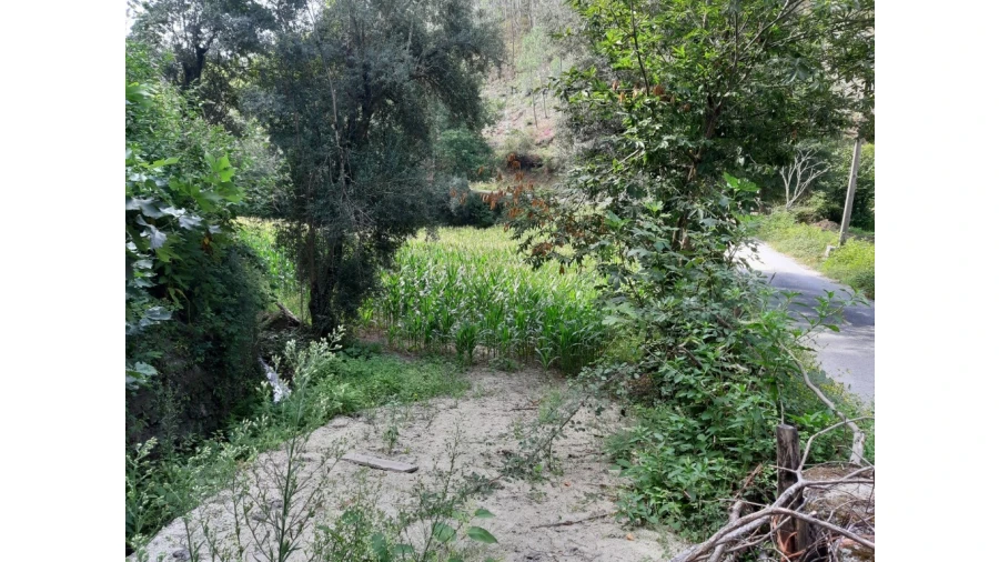 Terreno para Venda em Valdosende Foto 6
