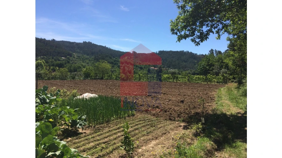 Terreno para Venda em Sande, Vilarinho, Barros e Gomide
