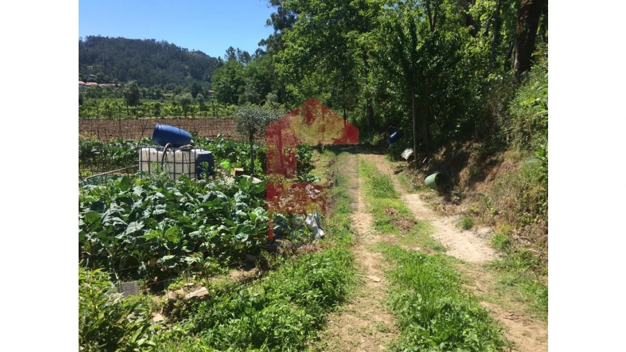 Terreno para Venda em Sande, Vilarinho, Barros e Gomide Foto 5