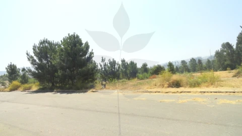 Terreno para Venda em Monsul