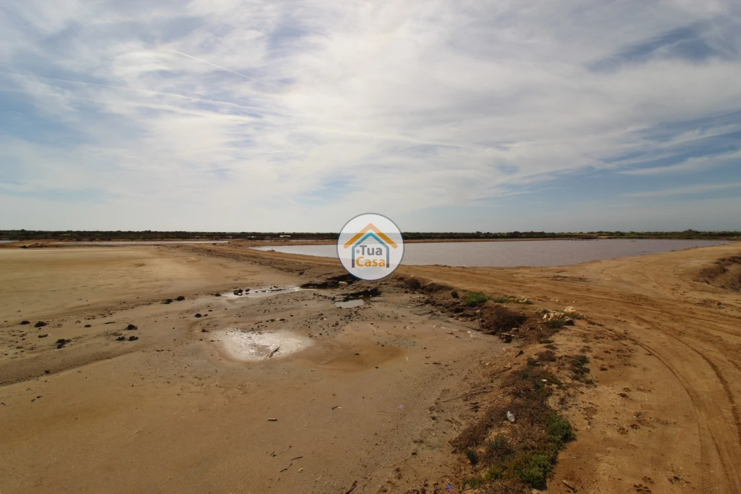 Quinta T5 para Venda em Pechão Foto 22