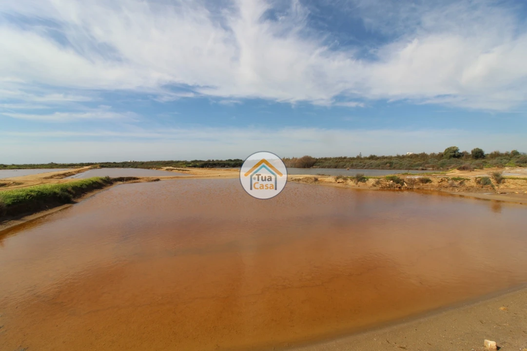 Quinta T5 para Venda em Pechão Foto 19