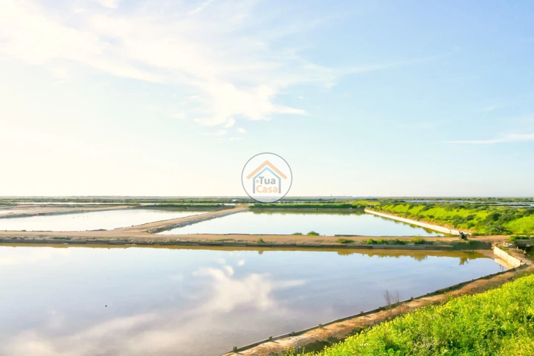 Quinta T5 para Venda em Pechão Foto 1