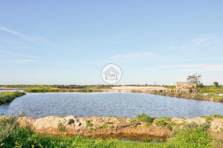 Quinta T5 para Venda em Pechão Foto 12