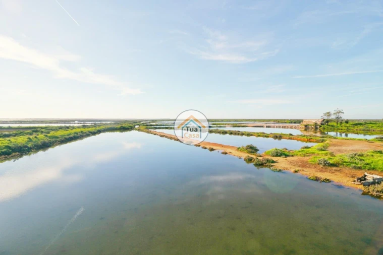 Quinta T5 para Venda em Pechão Foto 11