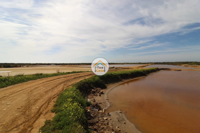 Quinta T5 para Venda em Pechão Foto 21