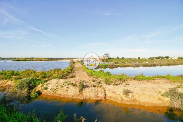 Quinta T5 para Venda em Pechão Foto 13