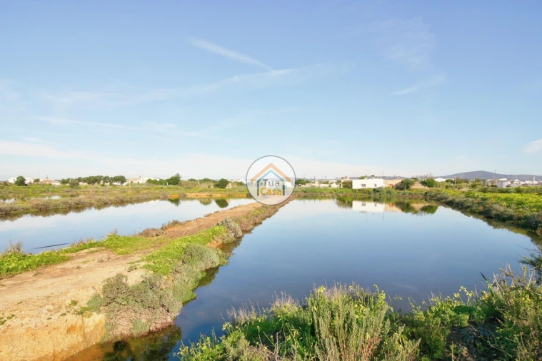 Quinta T5 para Venda em Pechão Foto 14