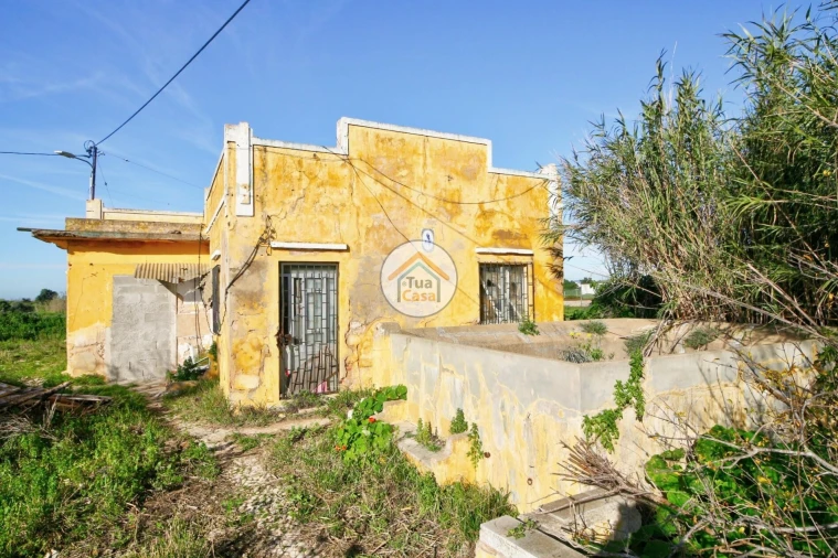 Quinta T5 para Venda em Pechão Foto 4