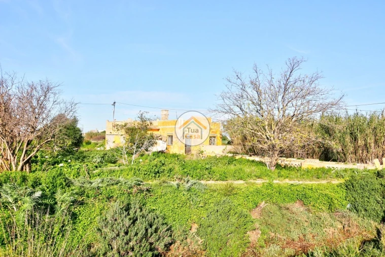 Quinta T5 para Venda em Pechão Foto 3