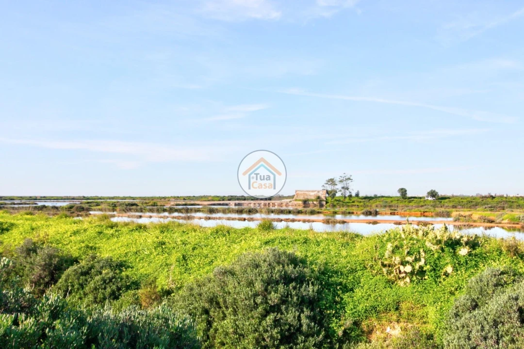 Quinta T5 para Venda em Pechão Foto 17