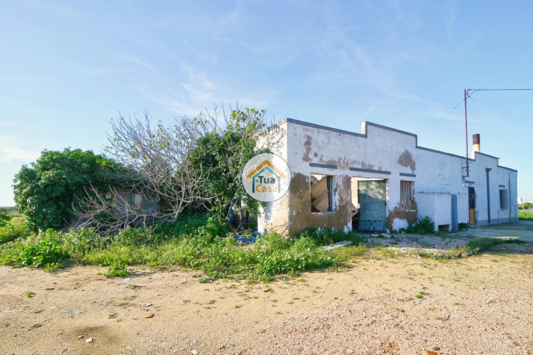 Quinta T5 para Venda em Pechão Foto 7