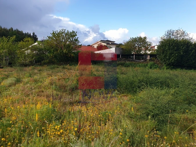 Terreno para Venda em Vila Verde e Barbudo Foto 5