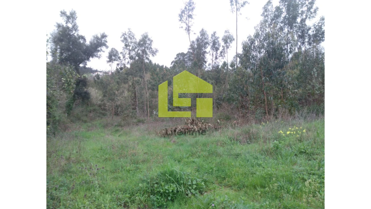 Terreno para Venda em Taveiro, Ameal e Arzila Foto 11