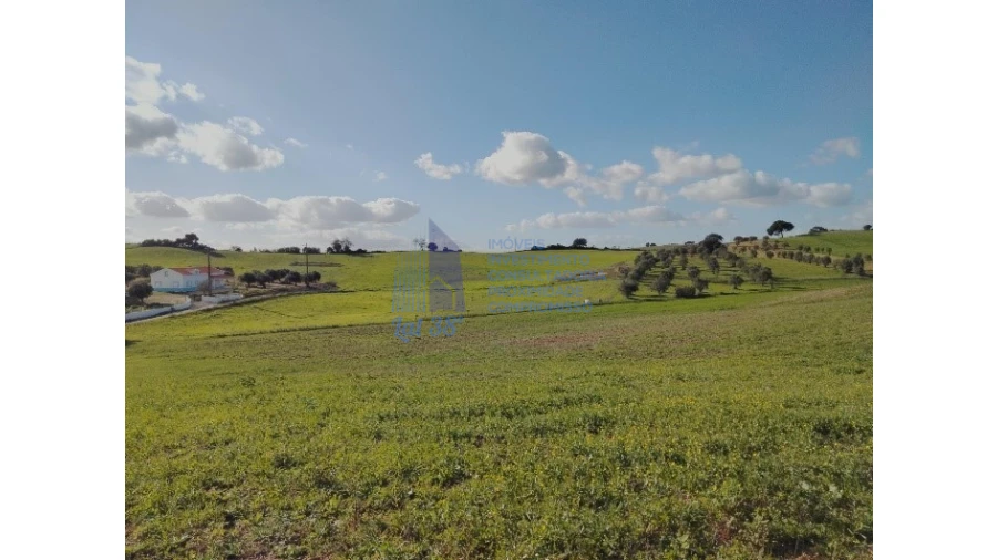 Terreno para Venda em Marvila, Ribeira Santarém, São Salvador, São Nicolau Foto 1