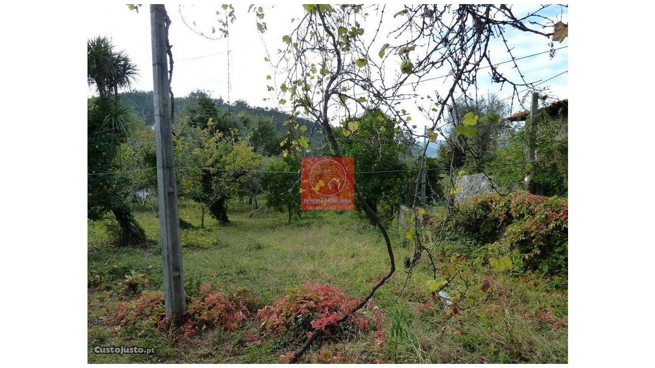 Quinta T5 para Venda em Parada do Bouro Foto 2