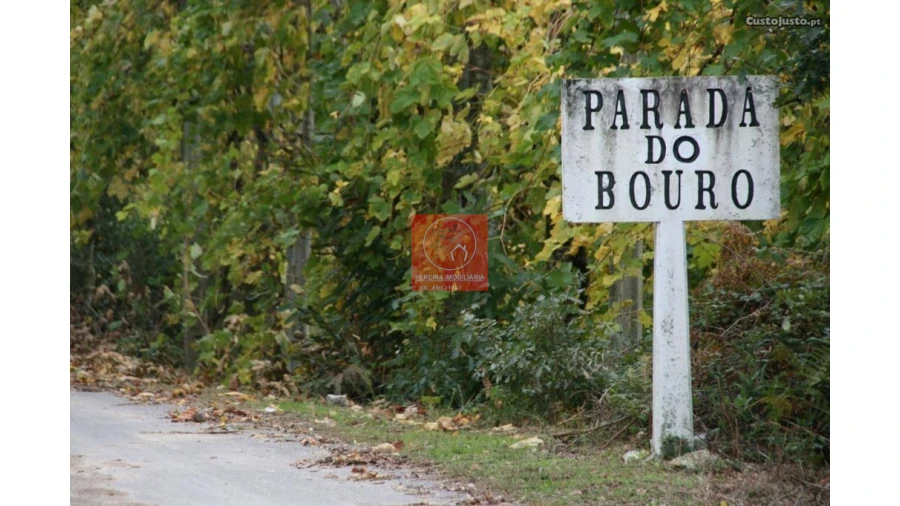 Quinta T5 para Venda em Parada do Bouro Foto 6