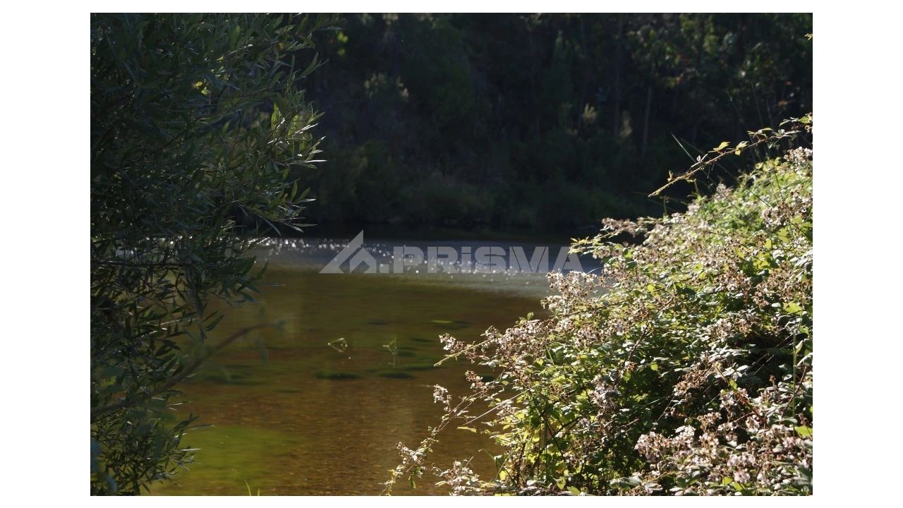 Terreno para Venda em Sarzedas Foto 4