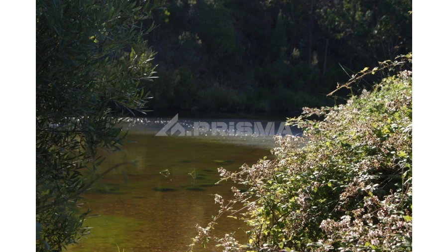 Terreno para Venda em Sarzedas Foto 4