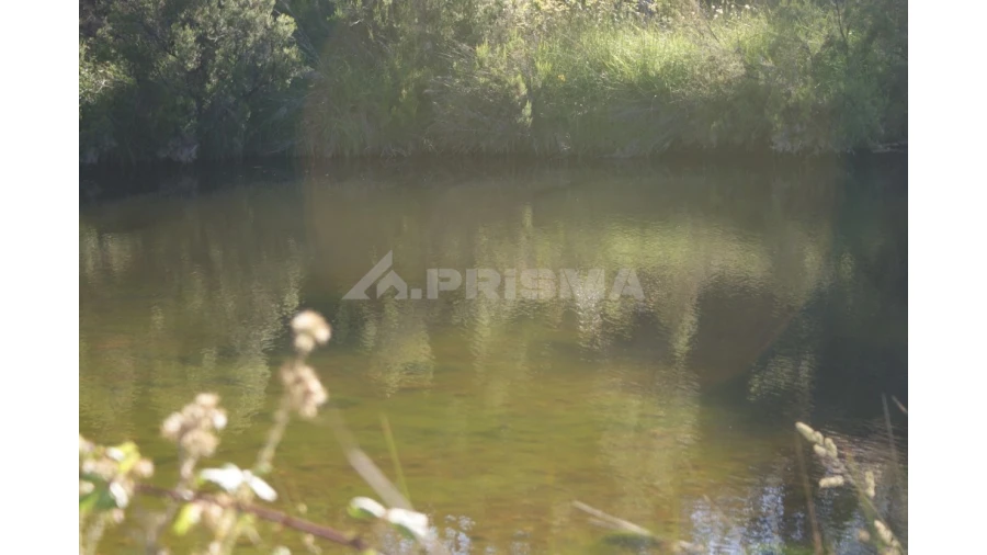 Terreno para Venda em Sarzedas Foto 7