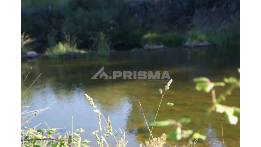 Terreno para Venda em Sarzedas Foto 2