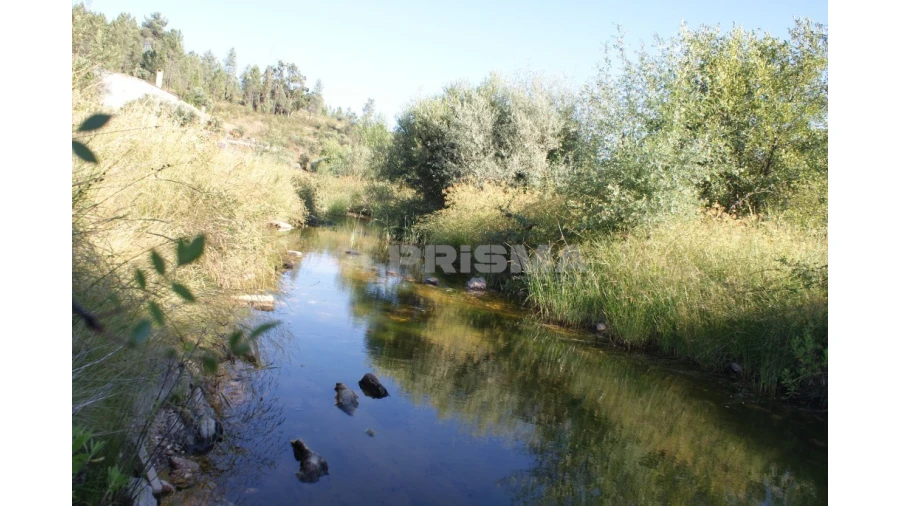 Terreno para Venda em Sarzedas Foto 6