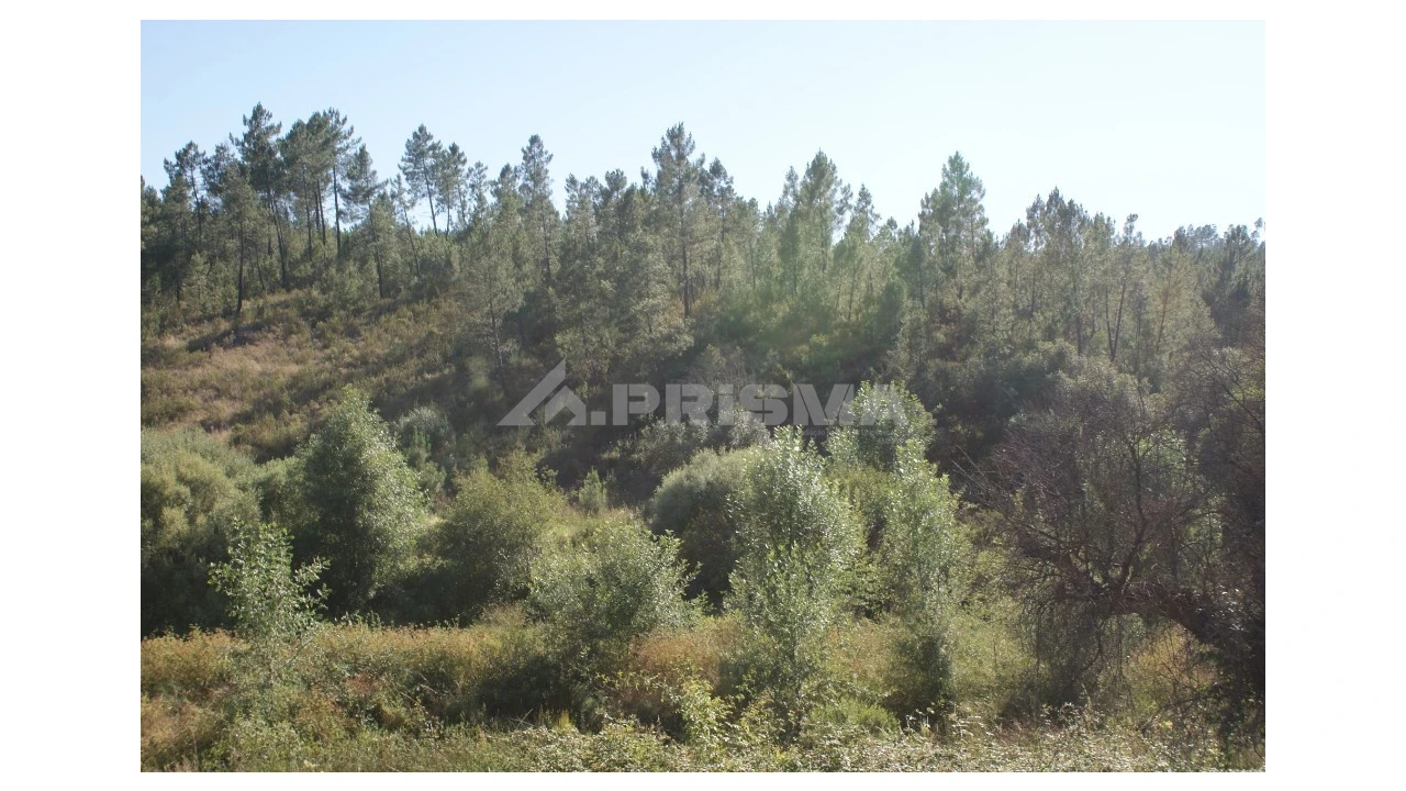 Terreno para Venda em Sarzedas Foto 1