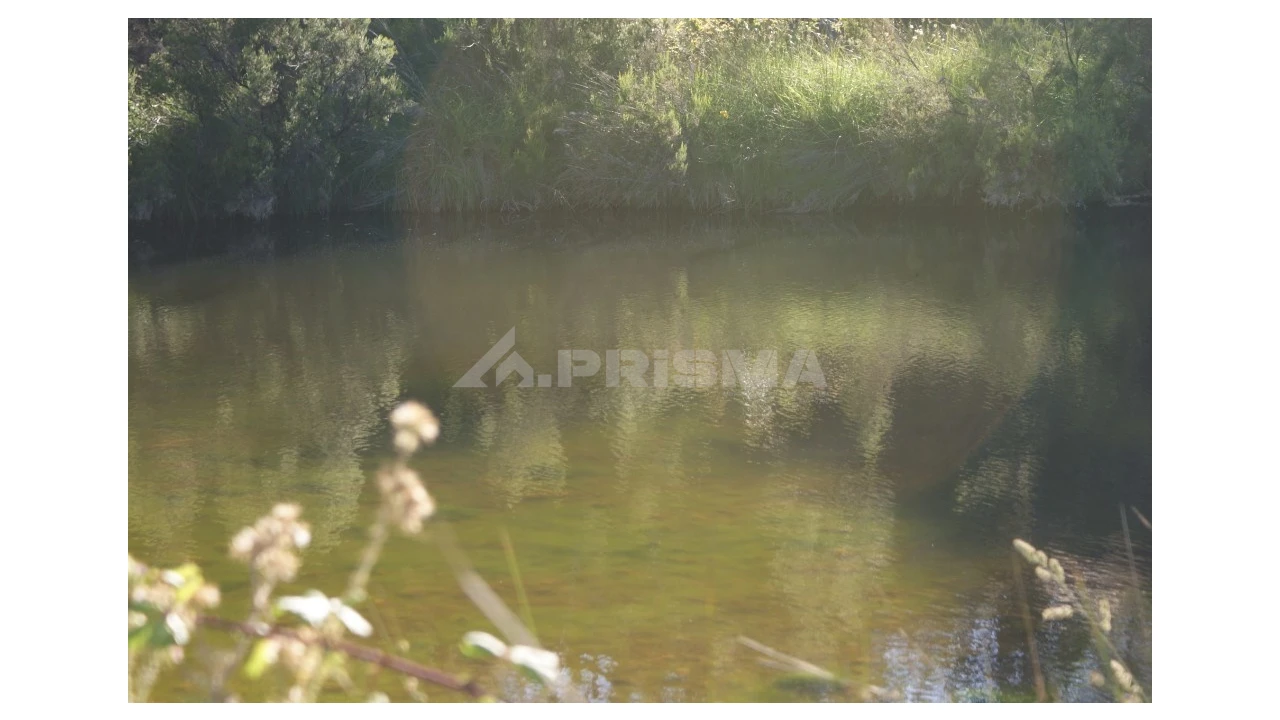 Terreno para Venda em Sarzedas Foto 7