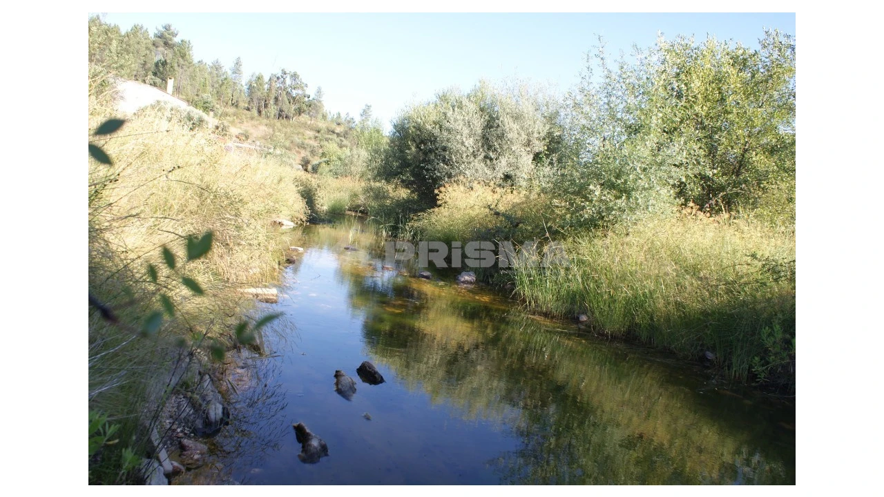 Terreno para Venda em Sarzedas Foto 6