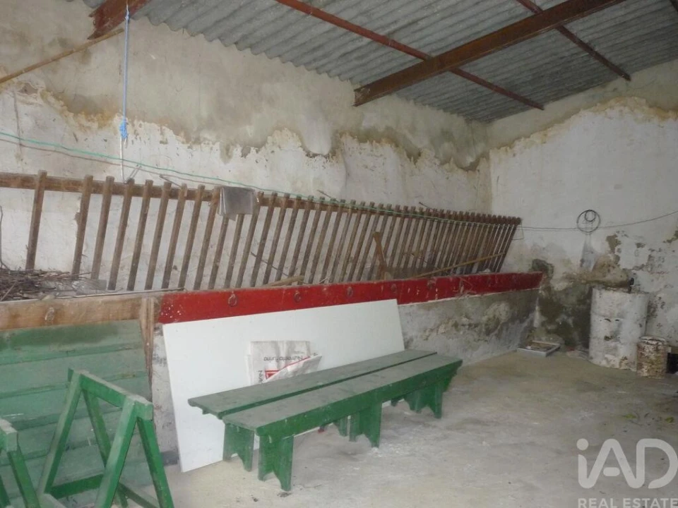 Moradia T4 para Venda em Cabeço de Vide Foto 9