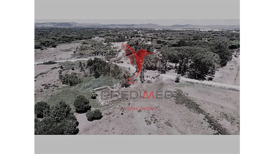 Quinta para Venda em Montenegro Foto 13