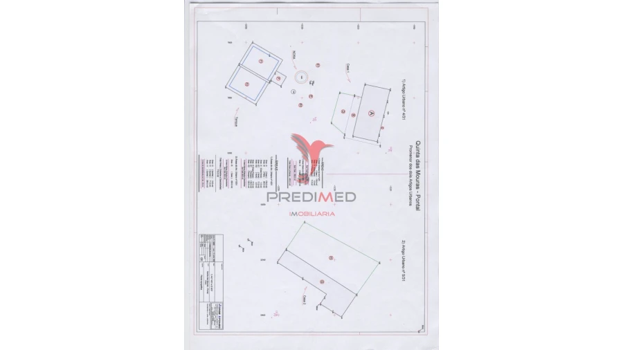 Quinta para Venda em Montenegro Foto 6