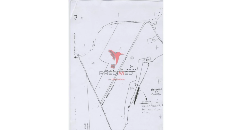 Quinta para Venda em Montenegro Foto 8