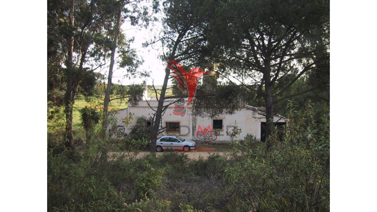 Quinta para Venda em Montenegro Foto 1