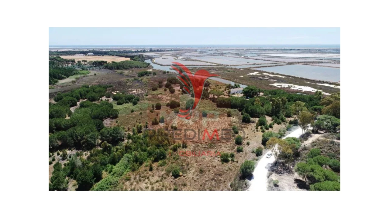 Quinta para Venda em Montenegro Foto 10