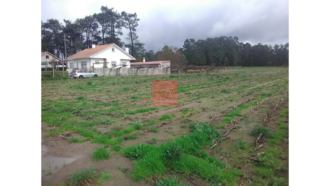 Terreno para Venda em Palmeira de Faro e Curvos Foto 11