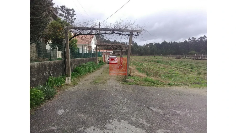 Terreno para Venda em Palmeira de Faro e Curvos Foto 6