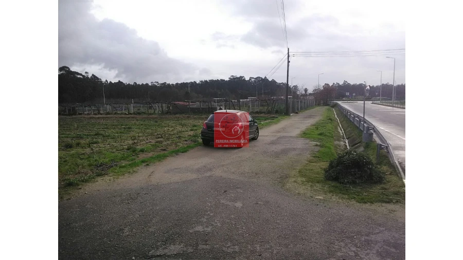Terreno para Venda em Palmeira de Faro e Curvos Foto 7