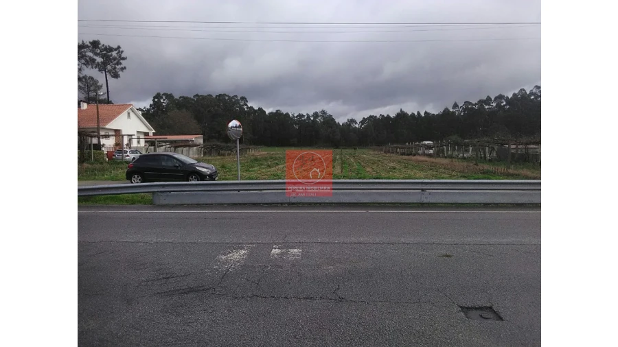 Terreno para Venda em Palmeira de Faro e Curvos Foto 9