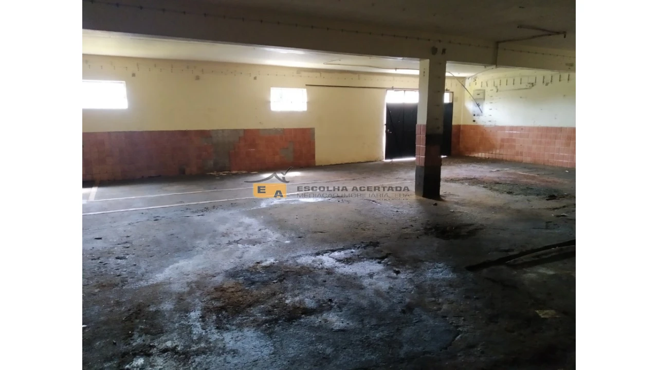 Armazém para Venda em Campo e Sobrado Foto 3