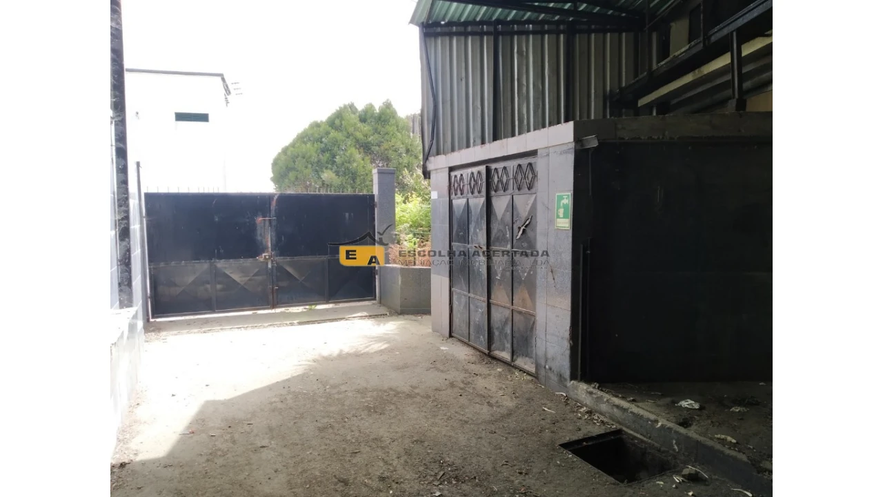 Armazém para Venda em Campo e Sobrado Foto 5