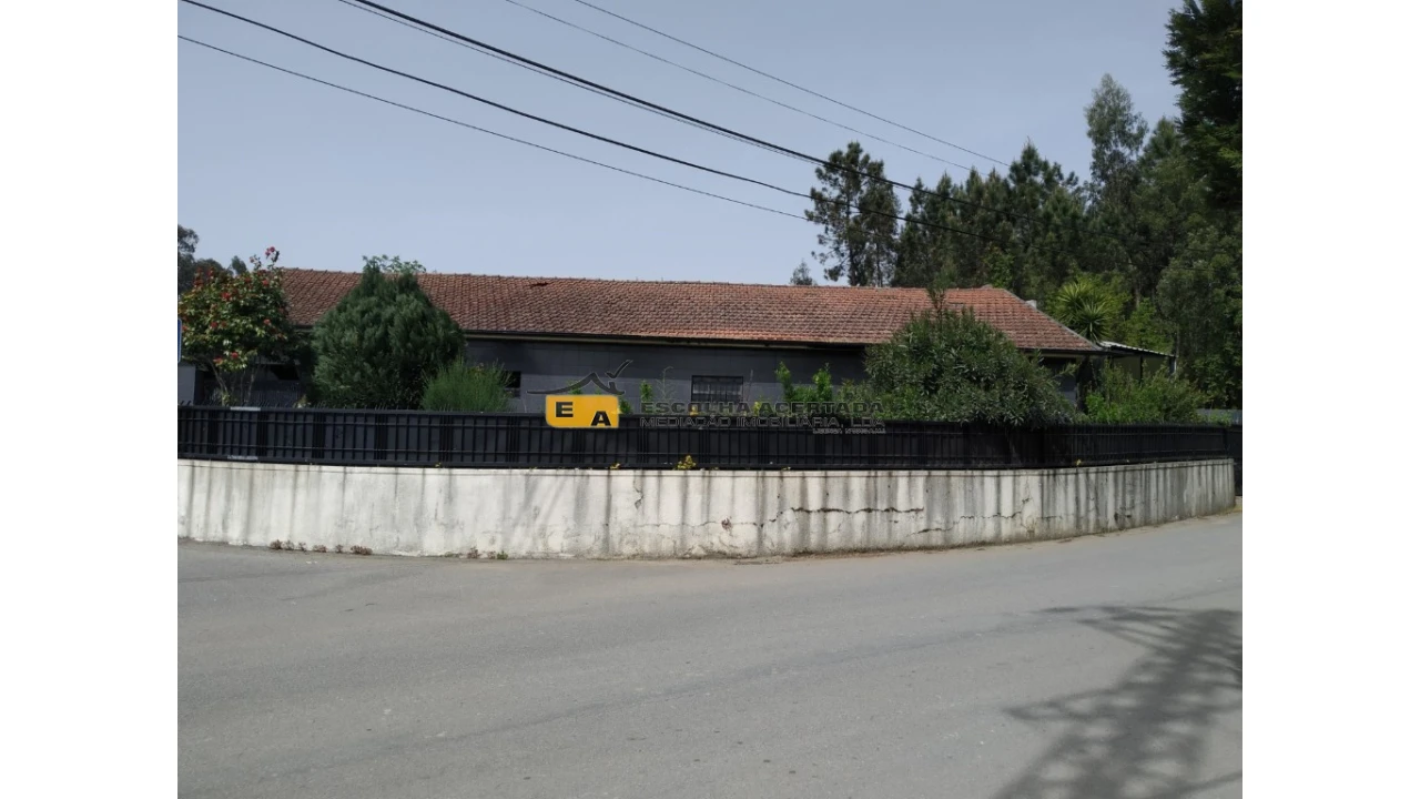 Armazém para Venda em Campo e Sobrado Foto 10