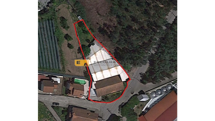 Armazém para Venda em Campo e Sobrado Foto 13