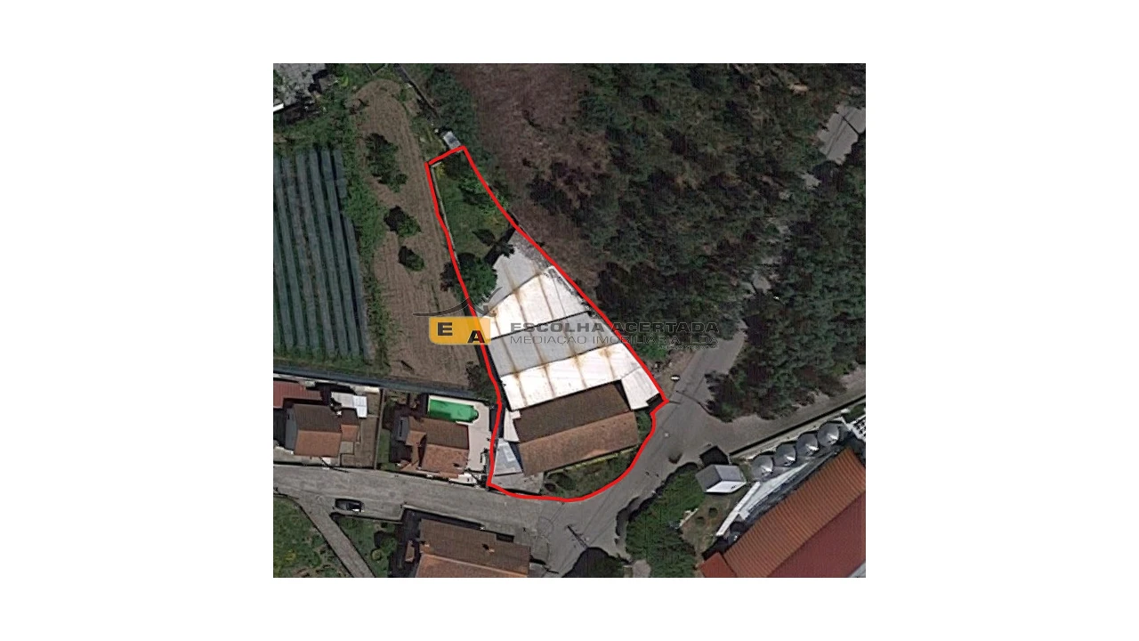 Armazém para Venda em Campo e Sobrado Foto 13