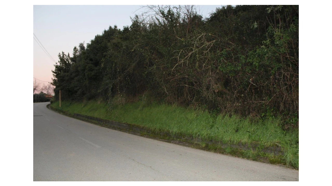 Terreno para Venda em Sebal e Belide Foto 5