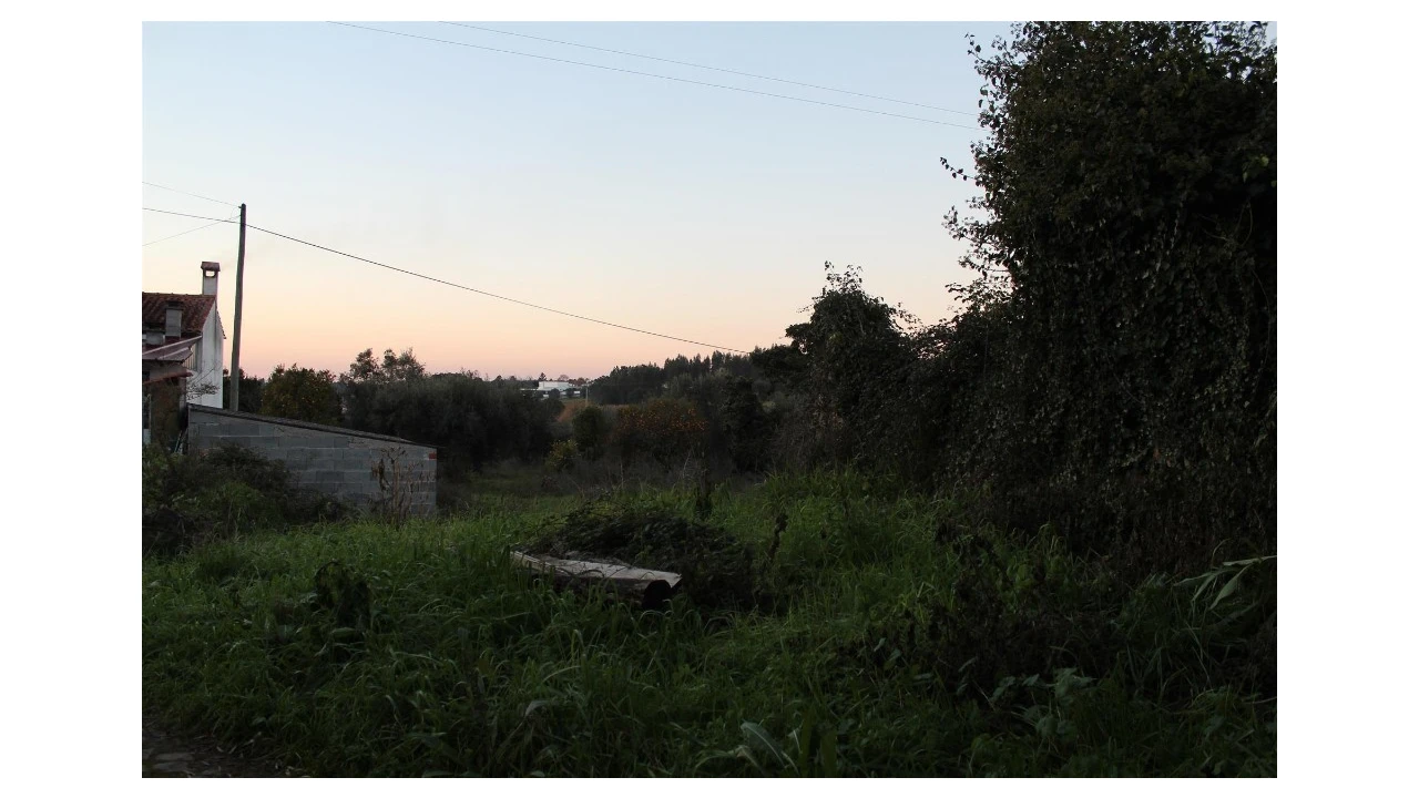 Terreno para Venda em Sebal e Belide Foto 3