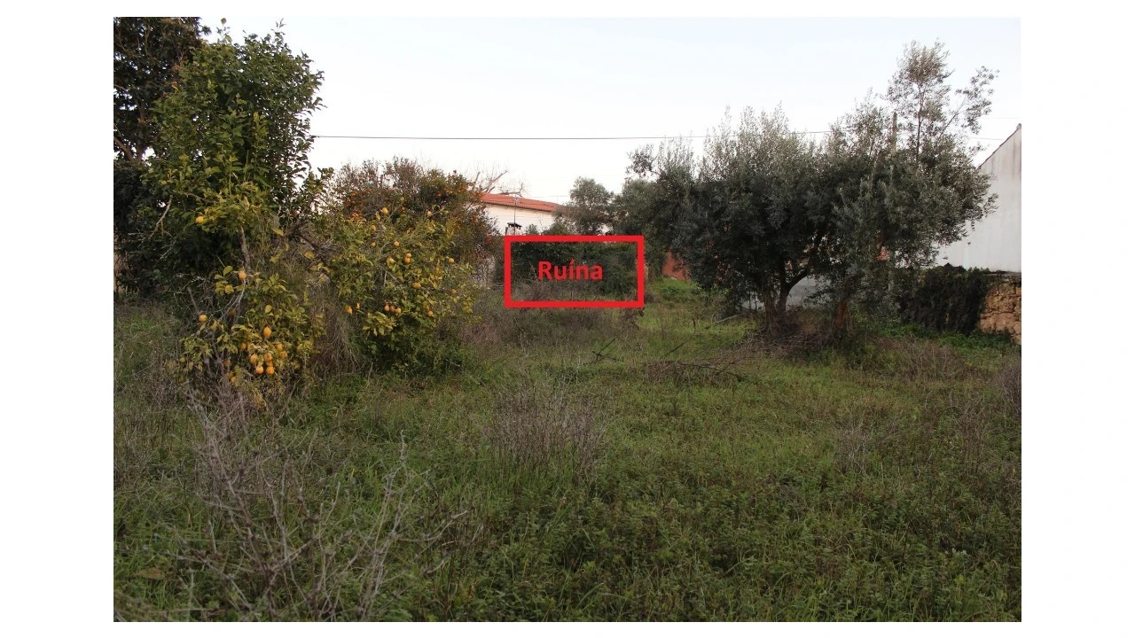 Terreno para Venda em Sebal e Belide Foto 6