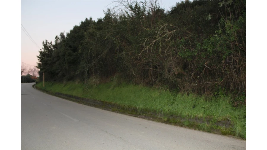 Terreno para Venda em Sebal e Belide Foto 5