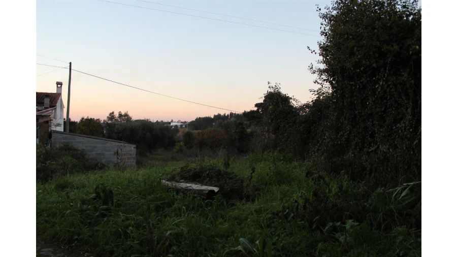Terreno para Venda em Sebal e Belide Foto 3