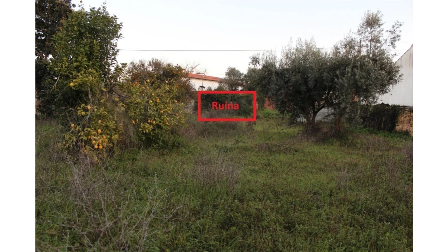 Terreno para Venda em Sebal e Belide Foto 6